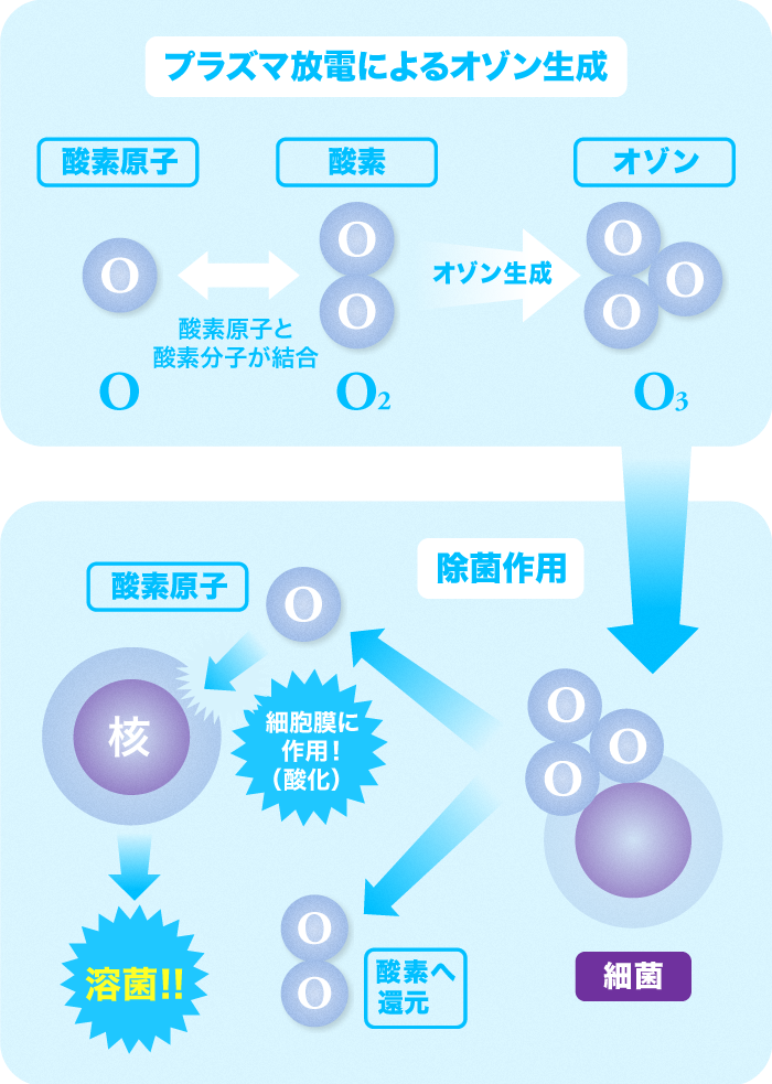 cont_04_img01.png